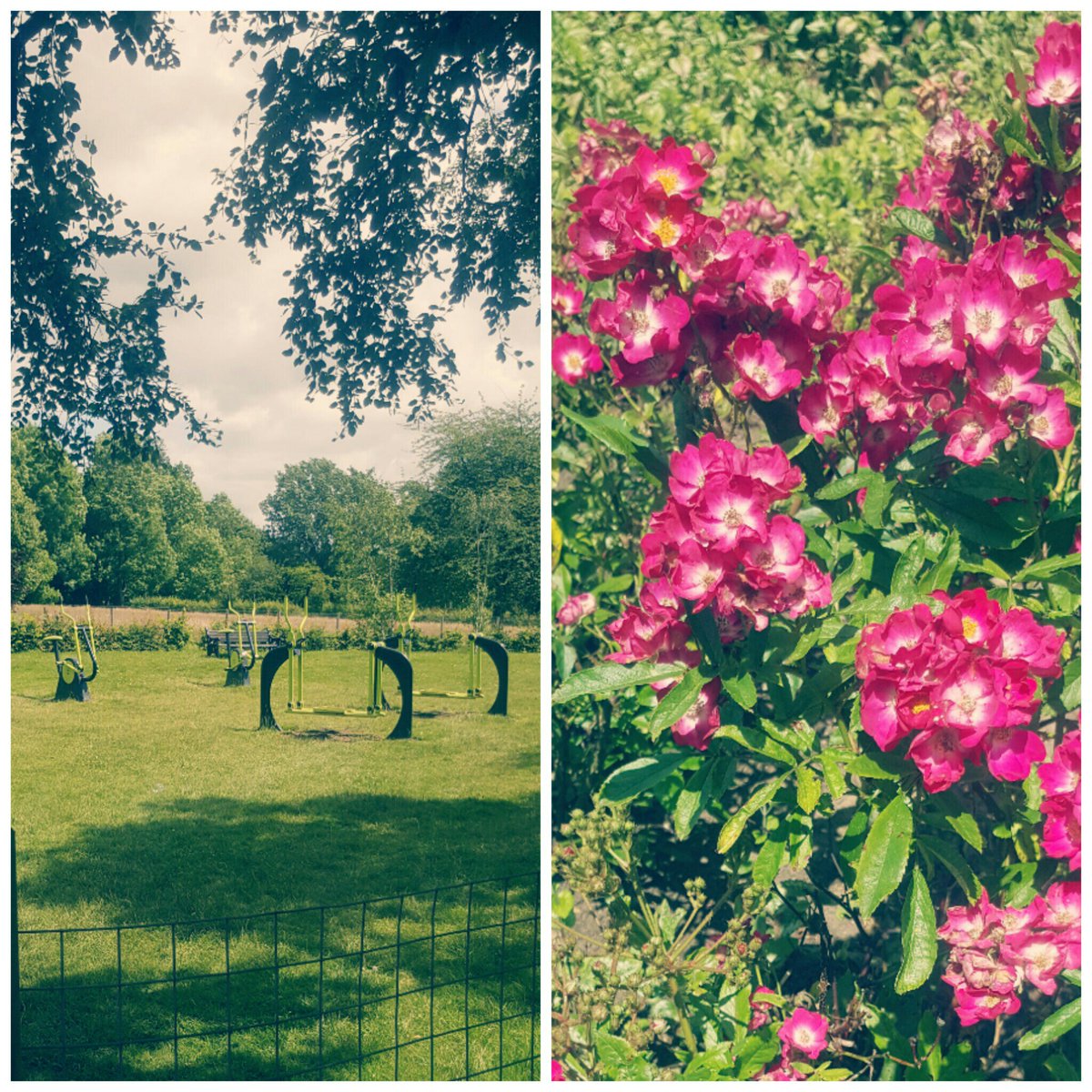 Ashleigh_OT's tweet photo. Spent a lovely afternoon at the #communitygym and #greenspace at Knighton Park #OTcommunity https://t.co/pypv4fYlQs