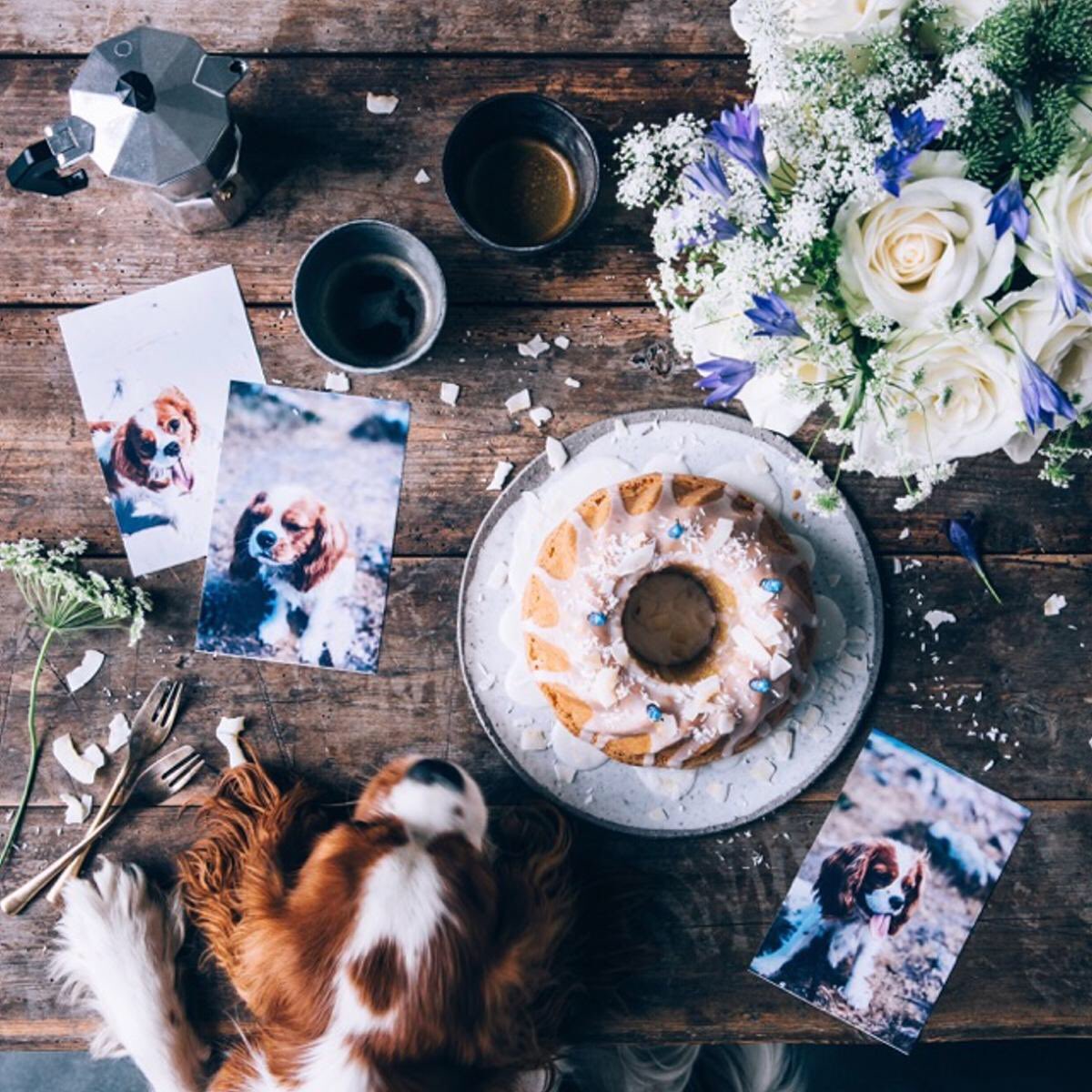 It's Collin's 1st birthday so we printed these pictures of him with our mobile printer from <a href="/HP/">HP</a> #sponsored