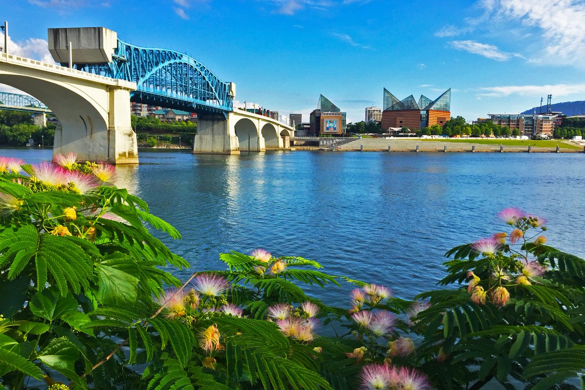 visitchatt's tweet photo. #Chattanooga's Riverwalk offers 13 miles of beautiful views like this. Where's your favorite spot? https://t.co/Qfk09JNw0l