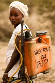 RemDumDum's tweet image. Nous avons besoin de toutes les agricultures, montrons leurs qualités et leurs atouts dumdum-cultivateur.blogspot.fr/2016/06/nous-a…