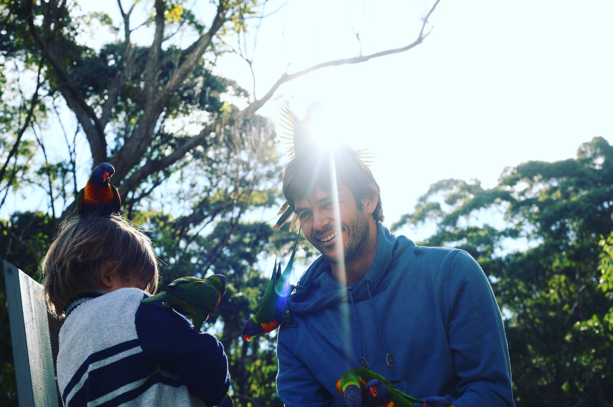jaytimquinn's tweet photo. Bird frenzy. Note to self, don't eat apples at the park https://t.co/BgoM1BKNQu