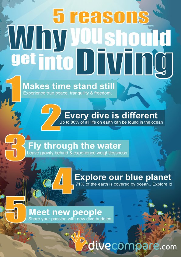 divecompare's tweet image. 5 Reasons why you should get into diving! divecompare.com/blog/why-you-s… #scuba #diving #travel #adventure #divecompare