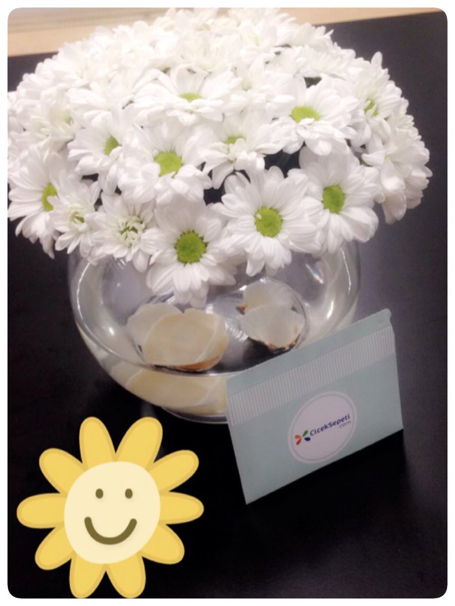 Papatyalar geldi 🙈💞💞