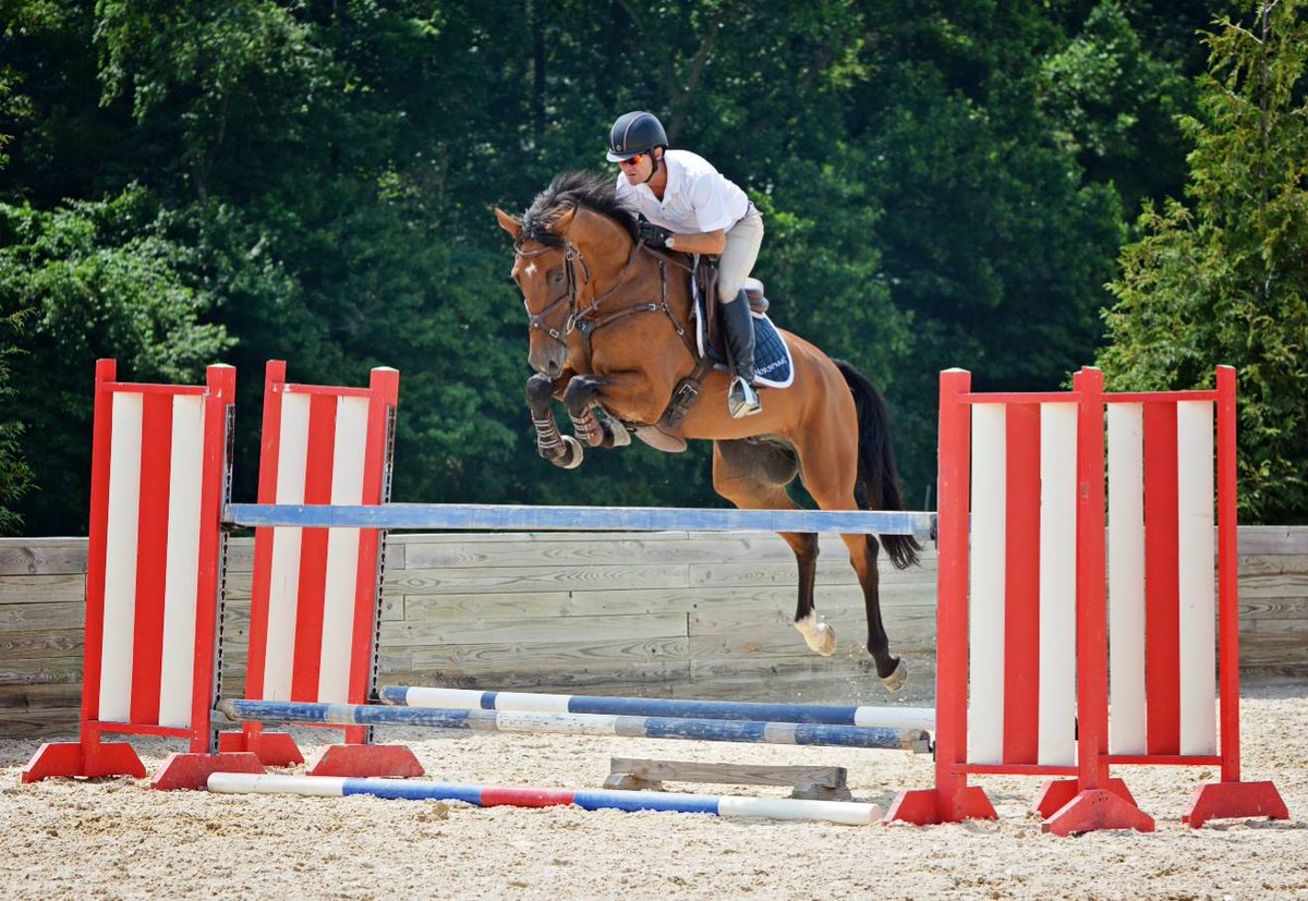 TSBbooks's tweet photo. Here we have #TSBauthor @DuttonEventing prepping for #Rio2016 #horseandriderbooks #eventing #eventingnews #roadtorio https://t.co/x0587gxIvy