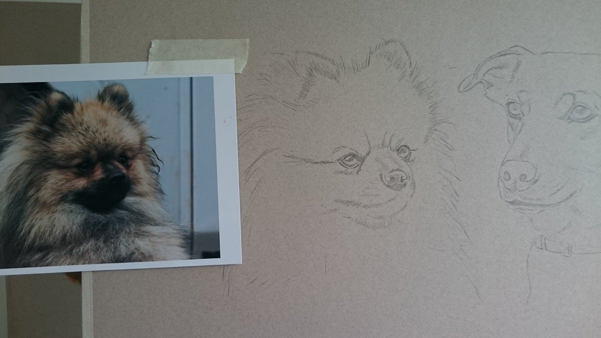 artistlindsay's tweet image. I'm starting these two @DaleyFish!!  😀 
#dogportraits