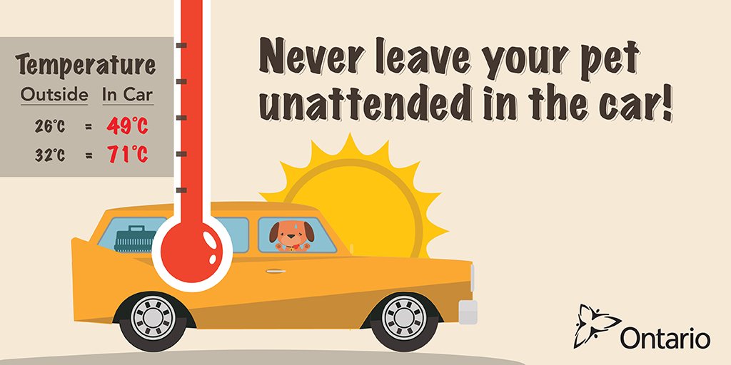 Keep your pet safe in the summer heat news.ontario.ca/mcscs/en/2016/…