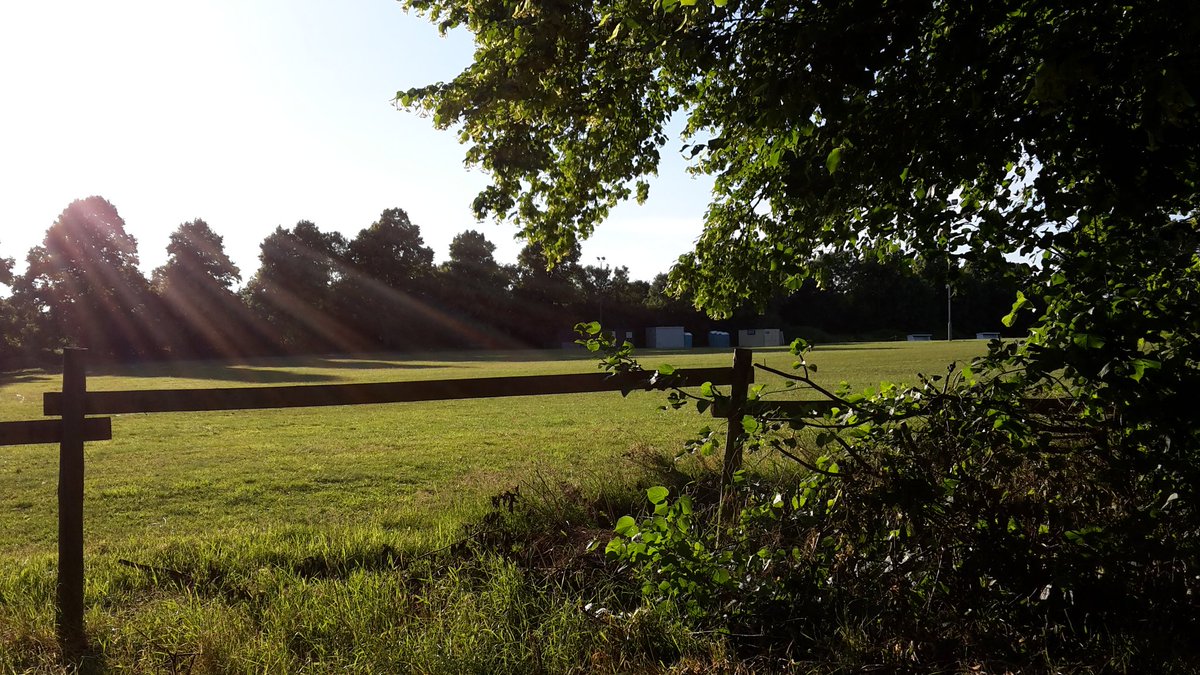 Lovely sunny sun for my evening constitution #eveningstroll #constitution #sunny