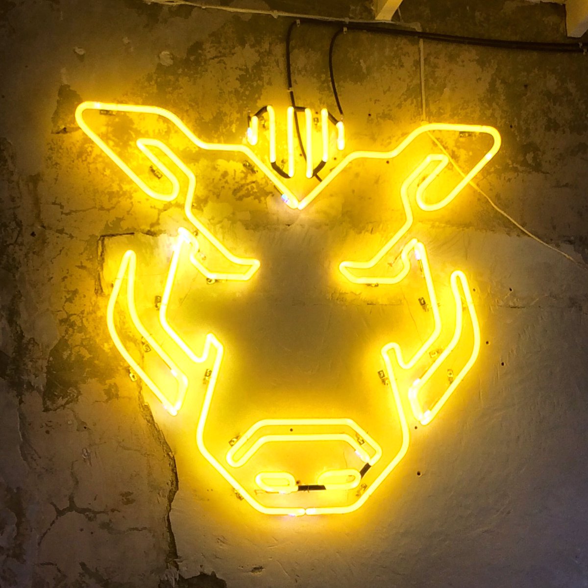 JavatoJonesCo's tweet image. Bienvenido a #JavatoJones, no sólo somos una tienda, somos una experiencia, una forma de ser, de vivir.....