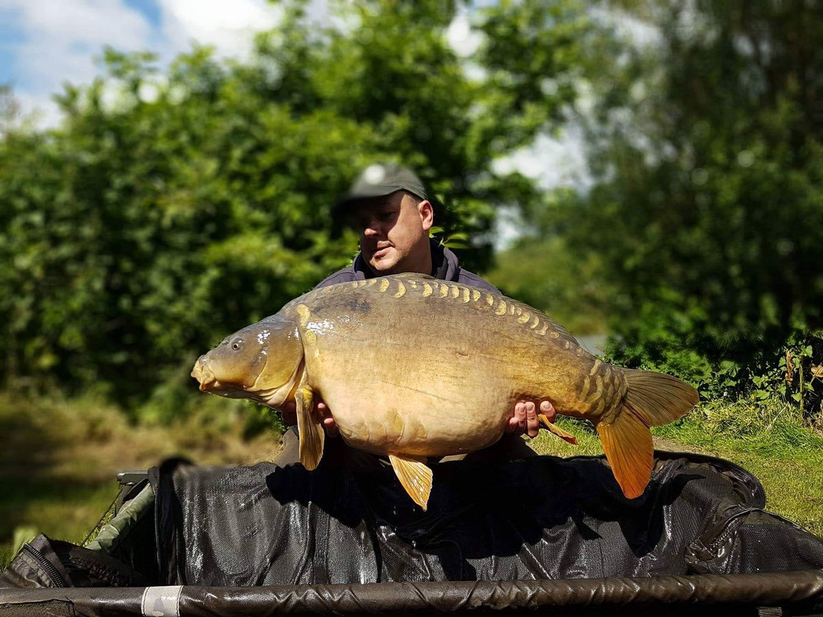 Team Catch & Release tweet media