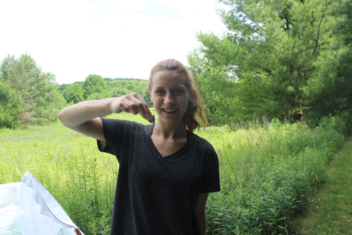 Jenna Siu tweet media