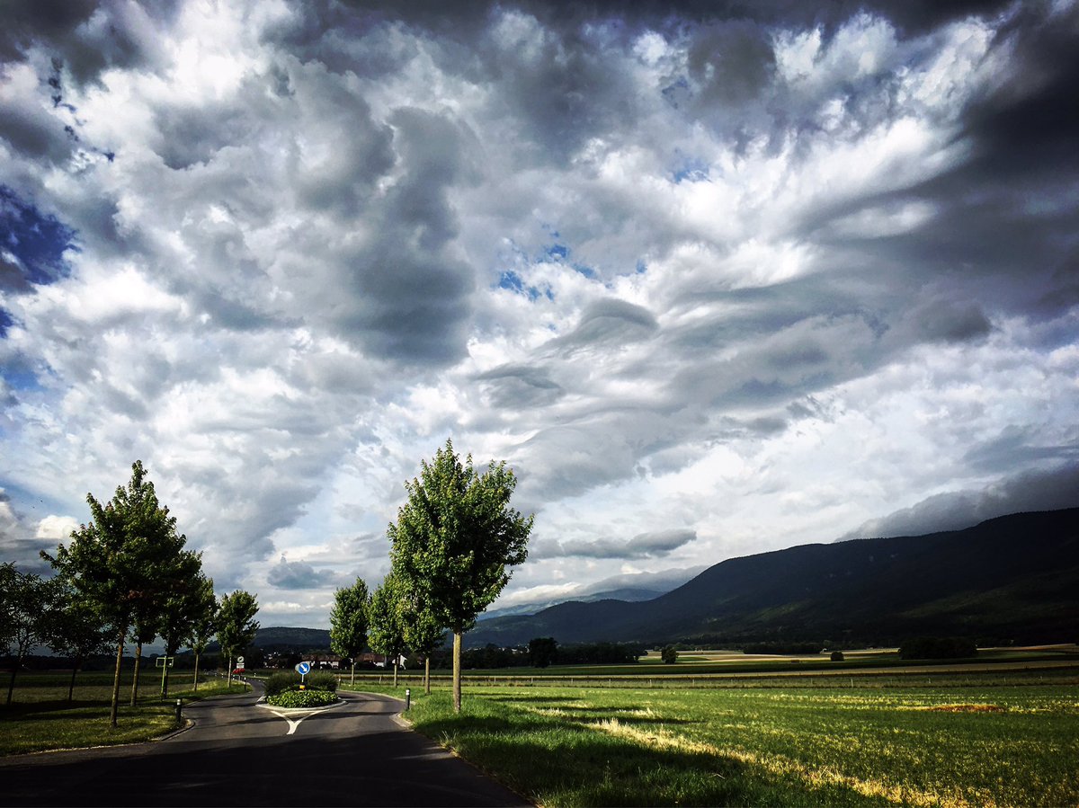 jfphotosch's tweet photo. Ma magnifique région 🇨🇭 ce matin !

#vaud #suisse #Switzerland #cheserex #crassier #tranchepied @DariusRochebin https://t.co/QxBvTfhG3q