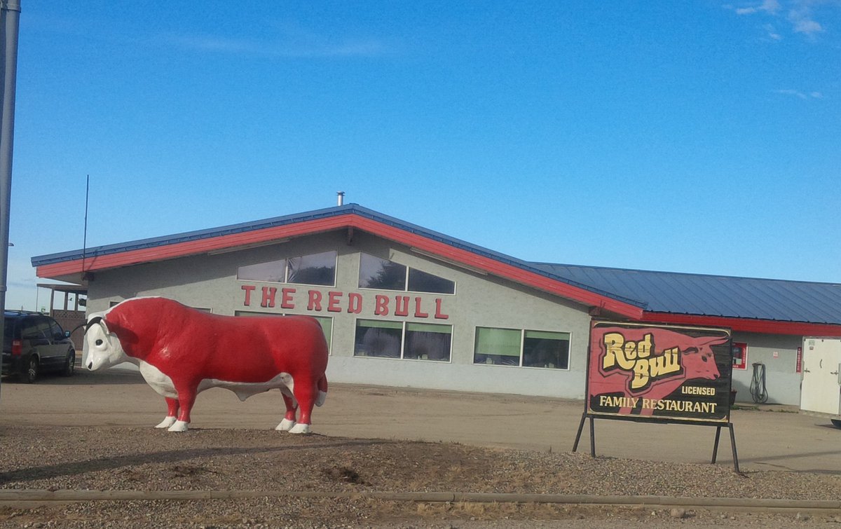 Big_G_09's tweet photo. #BullsClub 🐂 so down with the #RedBull in #Radisson #SK 🍁 #stopthere 👍 https://t.co/lzpQN7Xqom