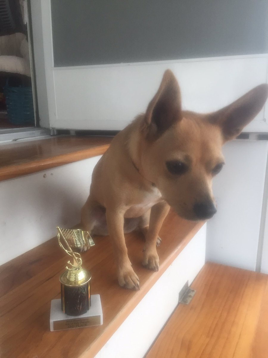 PICKMICK2016's tweet image. BEST PARADE EVER!  Got trophy? Boohyah.  Merica day!