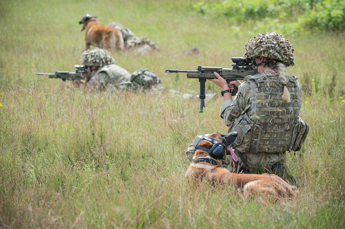 During tactical training 102 MWD Sqn tested the new personal protection equipment for military working dogs