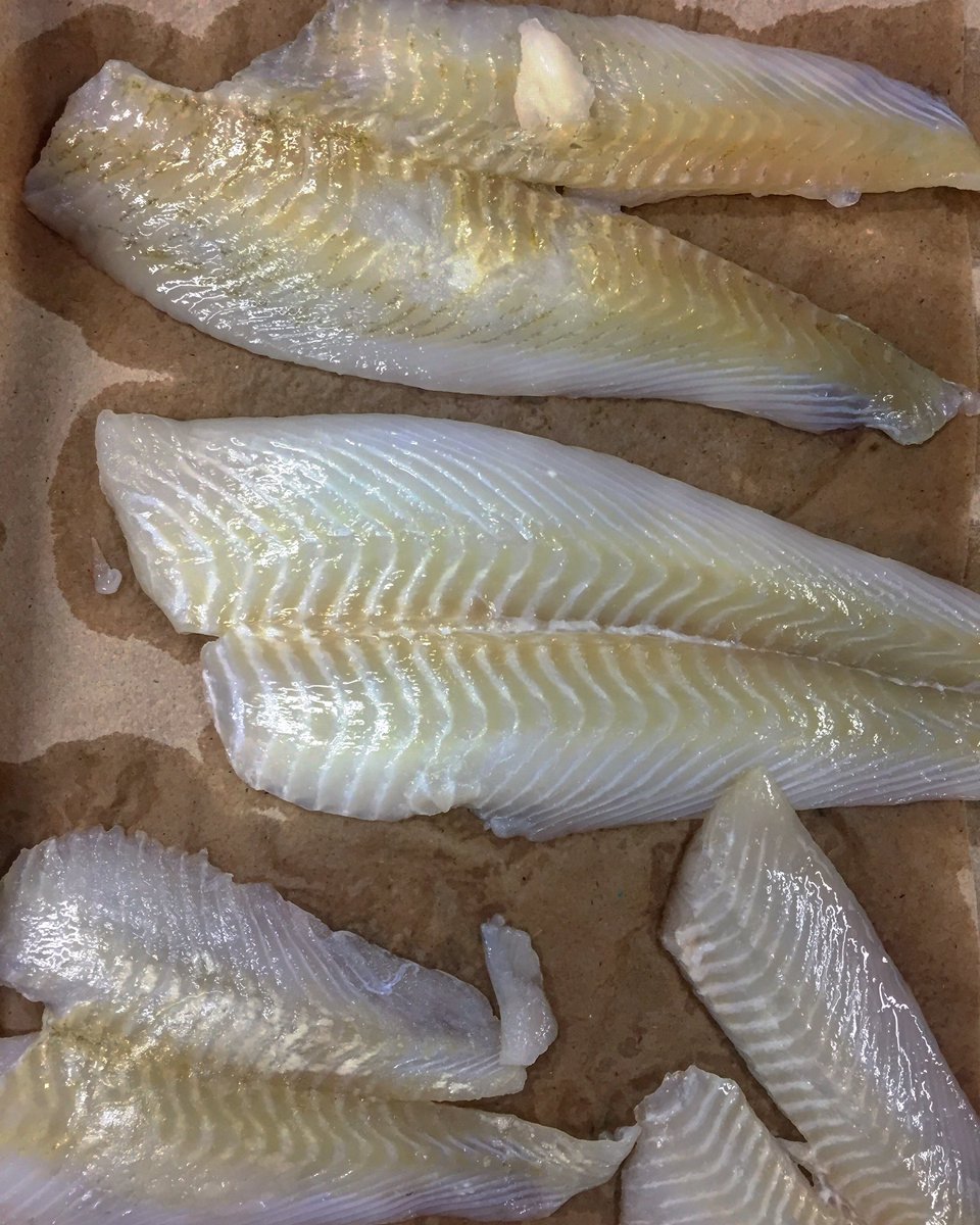 MyKitchenDirt's tweet photo. Oh my #sole 🐟💕🤗 #fish #lunch #chefintraining #tastytuesdays https://t.co/Z2sPlzaldt