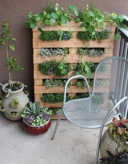 Gardening without a garden: 10 #DIY ideas to add green space to your patio or balcony rem.ax/29dsnZc