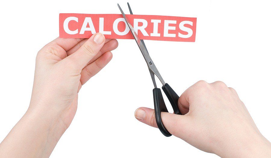 123MYMD's tweet image. A link between cutting calories and having better memory? Find out more at 123mymd.com/womenshealth/c…