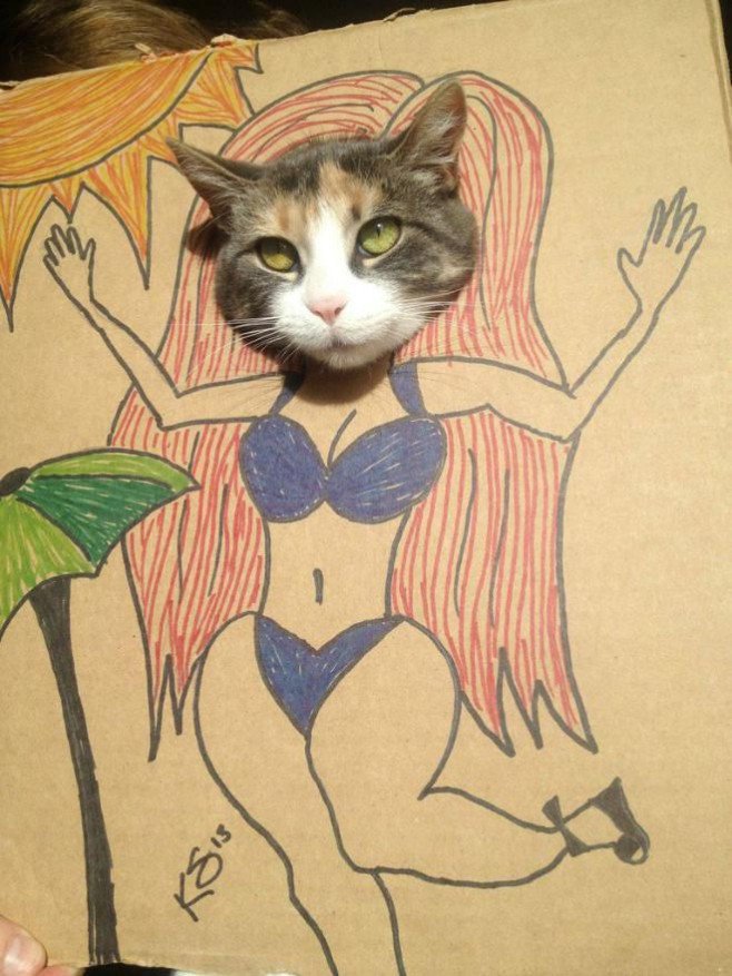 FunHouseARTcade's tweet photo. More #NationalBikiniDay for #PlayThisTagForNoReason #CatsOfTwitter https://t.co/i7rS7arVRe