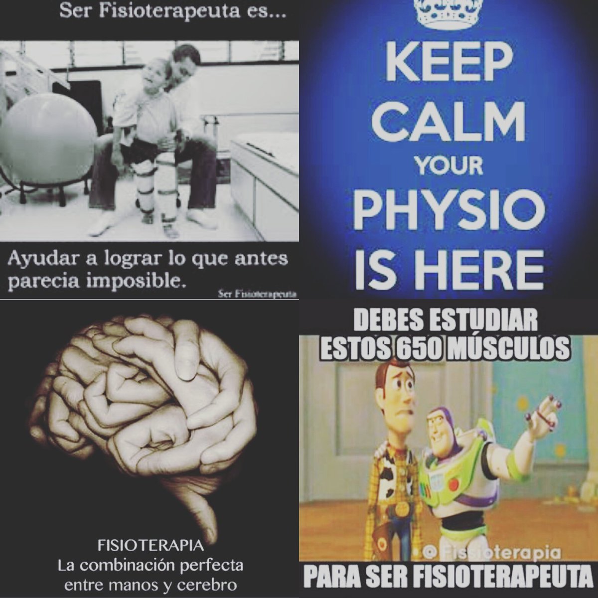 FisiEC's tweet photo. #FelizDiaDelFisio #fisioterapia #fisio #fisiec #ilovephysio #physiotherapy https://t.co/Wi9yu6Hl1Z