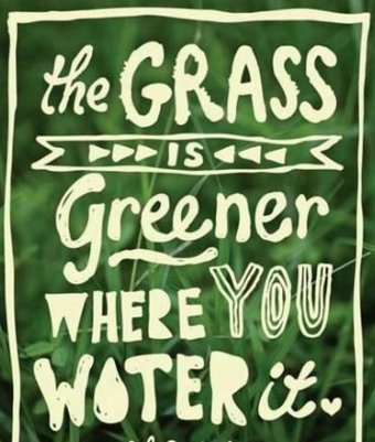 Sobriety Solutions tweet media