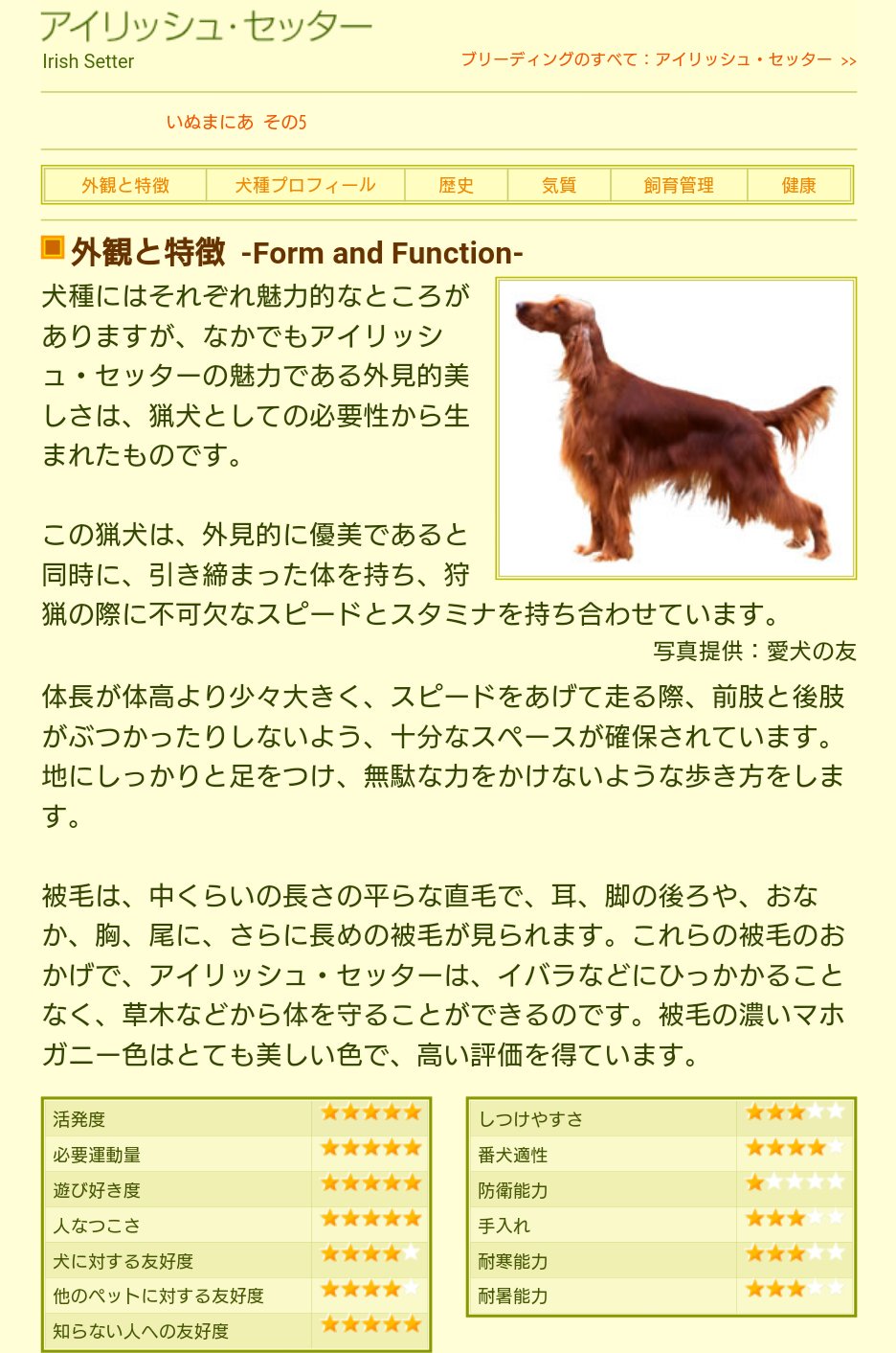 Ayuto 赤葦のtシャツ セッター犬ってどうしたの 笑 って思ってたらセッターって犬の種類で猟犬だったのね T Co Rkhu7f6tsp Twitter