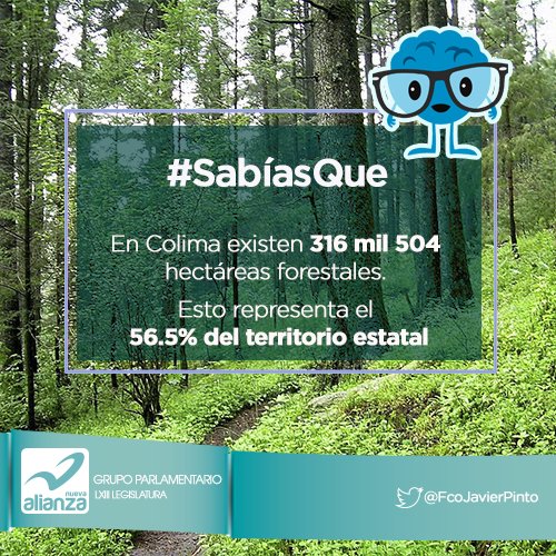 FcoJavierPinto's tweet photo. Amig@s los invito a ser parte de la conservación de nuestros ecosistemas. Seamos conscientes de nuestras acciones. https://t.co/TEgqPnuljl