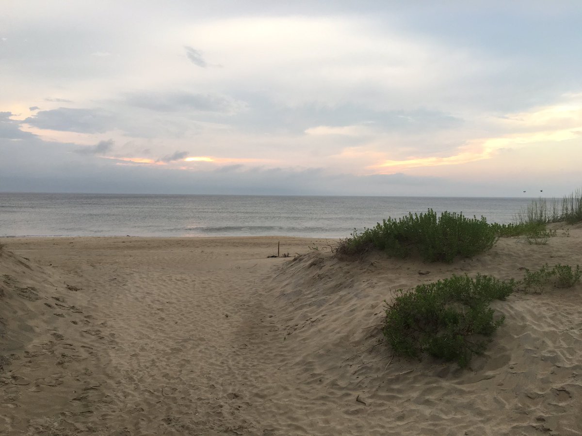 CallieCliatt's tweet photo. Missing this view already! #TakeMeBack #OBX #NC https://t.co/QhG8wsVg0c