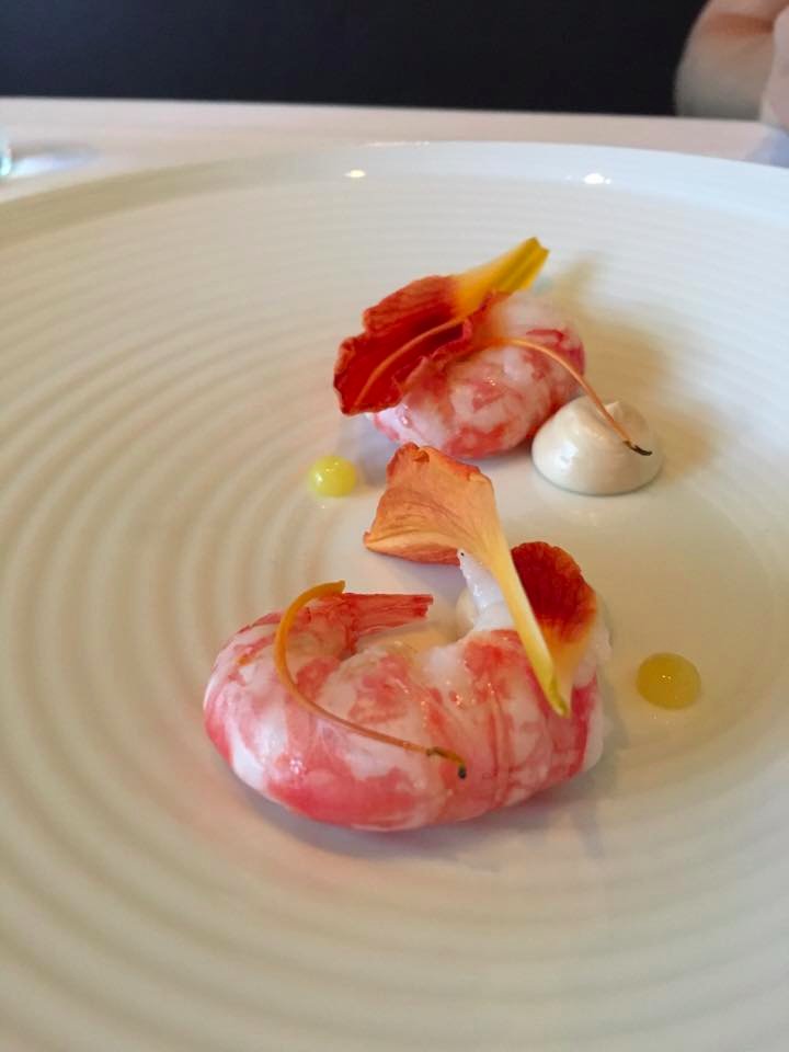 Adam Fleischman tweet media