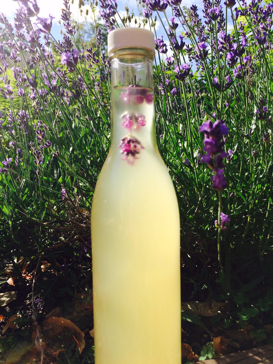 JustShutuptryit's tweet photo. Lavender infused Jun. Just Shut Up And Try it @fairmountmarket tomorrow 3-7 #calming#digestivetonic https://t.co/Y3cwhNwpus