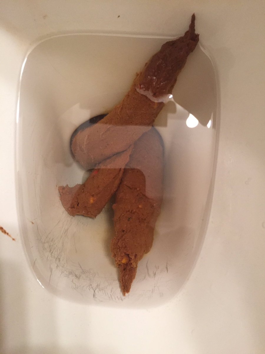 Dumps4Trump's tweet photo. .@realDonaldTrump toilet doesn't always flush right :( #RiggedSystem #MakeAmericaShittyAgain #Dumps4Trump #DumpTrump https://t.co/Zf3k3tDnGD