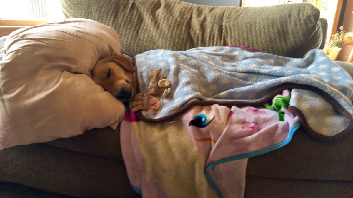 Everyone's exhausted after the fun Fourth of July weekend!