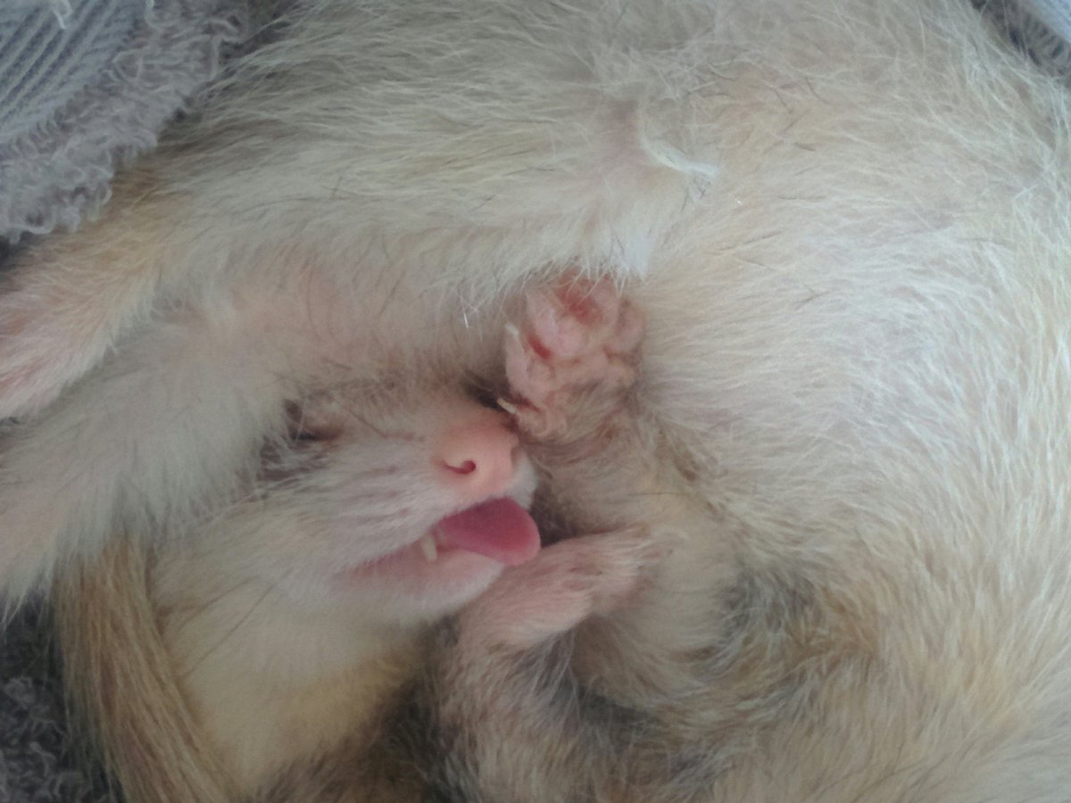 Carl Mac Namara tweet media