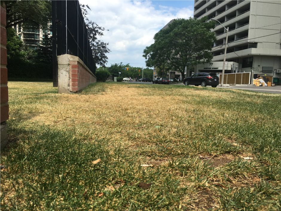 nationalpost's tweet photo. Once-in-a-decade dryness: Rainless Ontario verges into drought, and there’s no end in sight https://t.co/hpNGamD9o4 https://t.co/EL5eje4coT