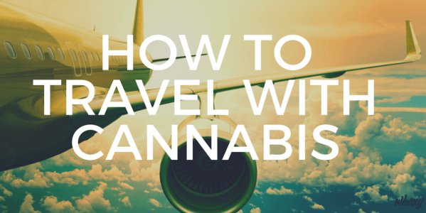 ThinkTankExile's tweet photo. Learn from the Pros: How to Travel with #Weed - https://t.co/R0NeolXUN5  #travel https://t.co/ebepLtVnbn