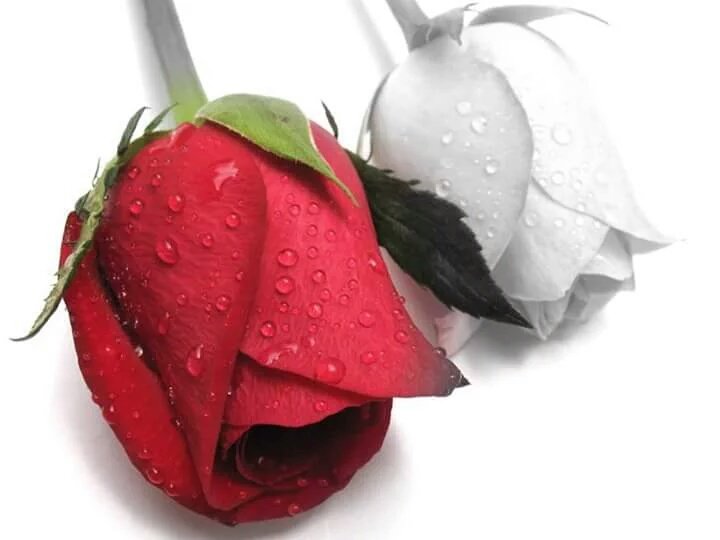 @emily1215225 <a href="/bobbygreyone/">Tracy Harris</a> @MonSitePhotos @lynn_nich <a href="/dosik563121/">❤️VALENTINA❤️</a> <a href="/MariaAmpudiaG_/">Maria Ampudia</a> <a href="/MonterosGR89/">Javier</a> <a href="/saulreyescalle2/">Saùl Reyes</a>