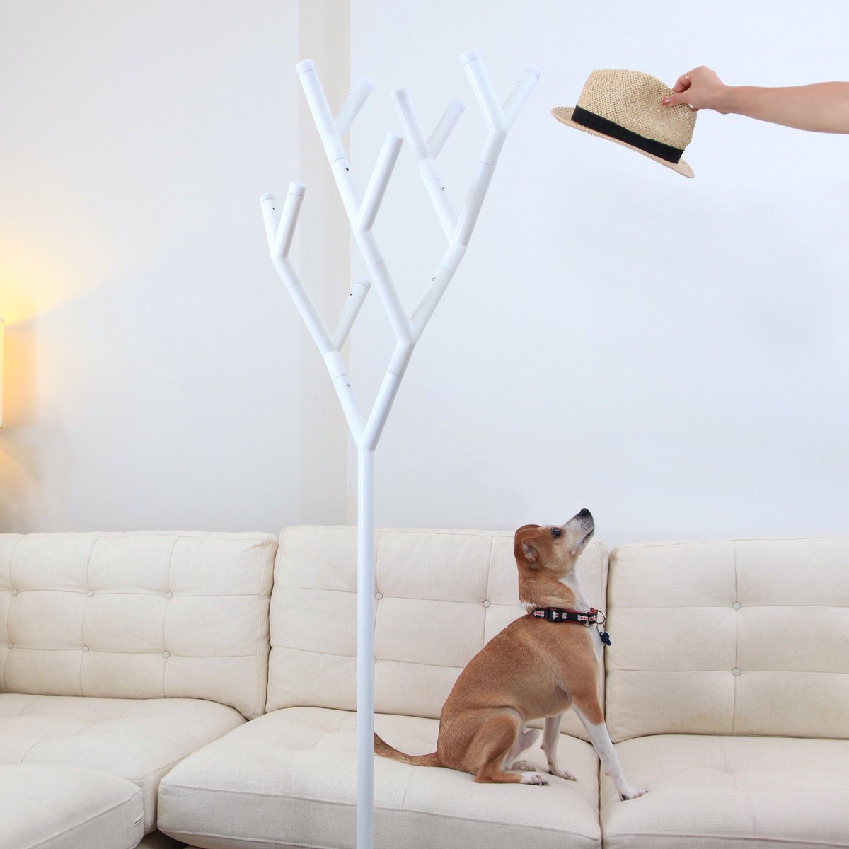 theHyfen's tweet photo. #Welcome #Home with #YRack by #HCWDStudio #Furniture #HomeDecor #Design #InteriorDesign #Tuesday #ModernHome #NYC https://t.co/mlFJ01uLHS