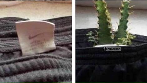 ClarissaYorke's tweet image. O QUE É / COMO EU SINTO