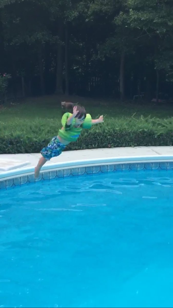lostut's tweet image. Diving board fun!  #nofear #imonly2 #lostutler