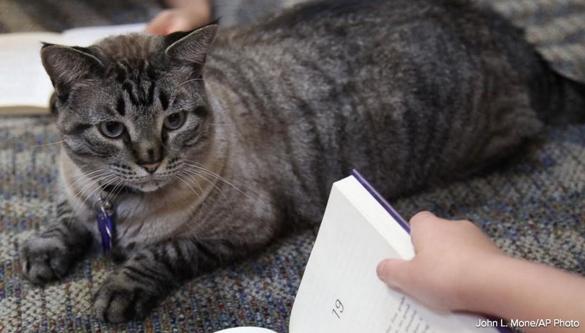 Eatonville Library (etown_library) Twitter