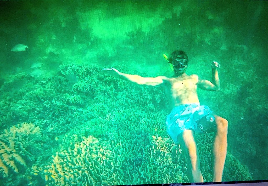 SofienMez's tweet photo. Good sunday #snorkeling #tulum #paradise #french #model #tvhost #sofienmez #male #model https://t.co/XQ98bMMaMJ