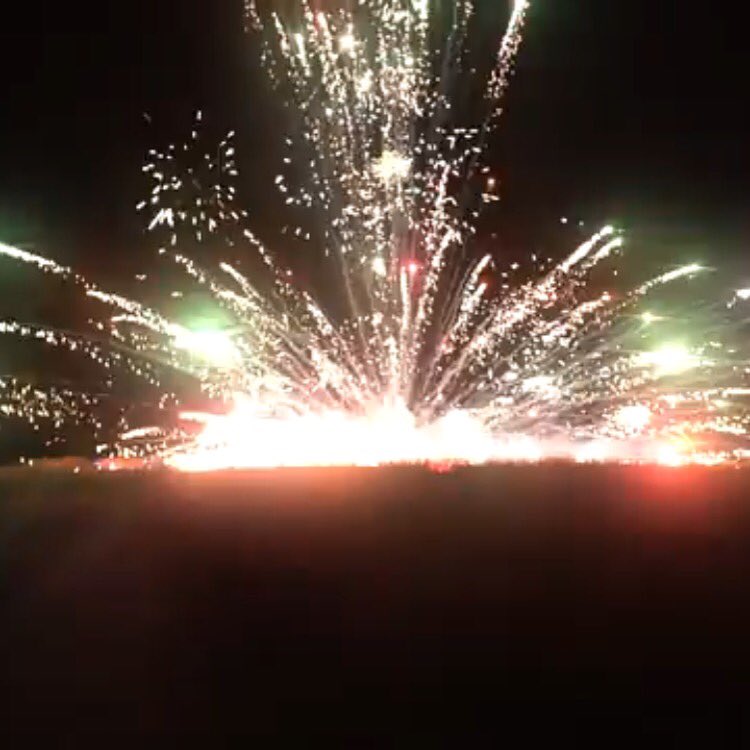 Bearded Servant tweet media