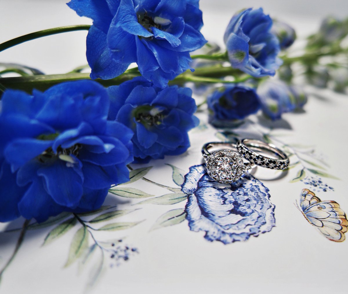 M_Lhuillier's tweet photo. She said Yes! @BlueNileDiamond @FineStationery #moniquelhuillier #MLFJ https://t.co/ZGY80RKU4J