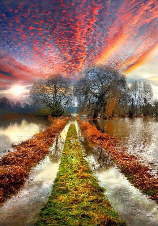 MaryaMaraya's tweet photo. عابرون ولنا في العبور حكاية🌹

#رساله_لن تصل https://t.co/2zYlK0LfFj