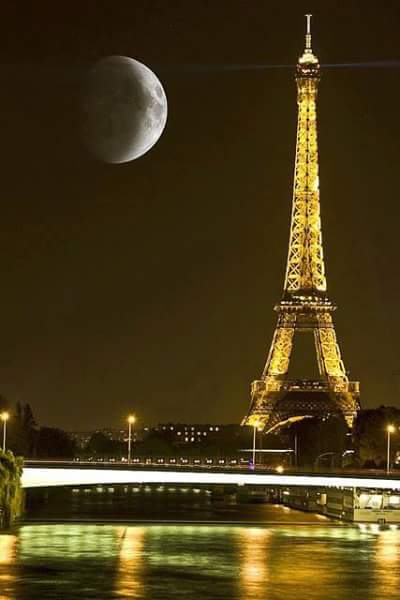 RyRy612's tweet photo. Me and angela are going here one day. https://t.co/RA777NaOfn