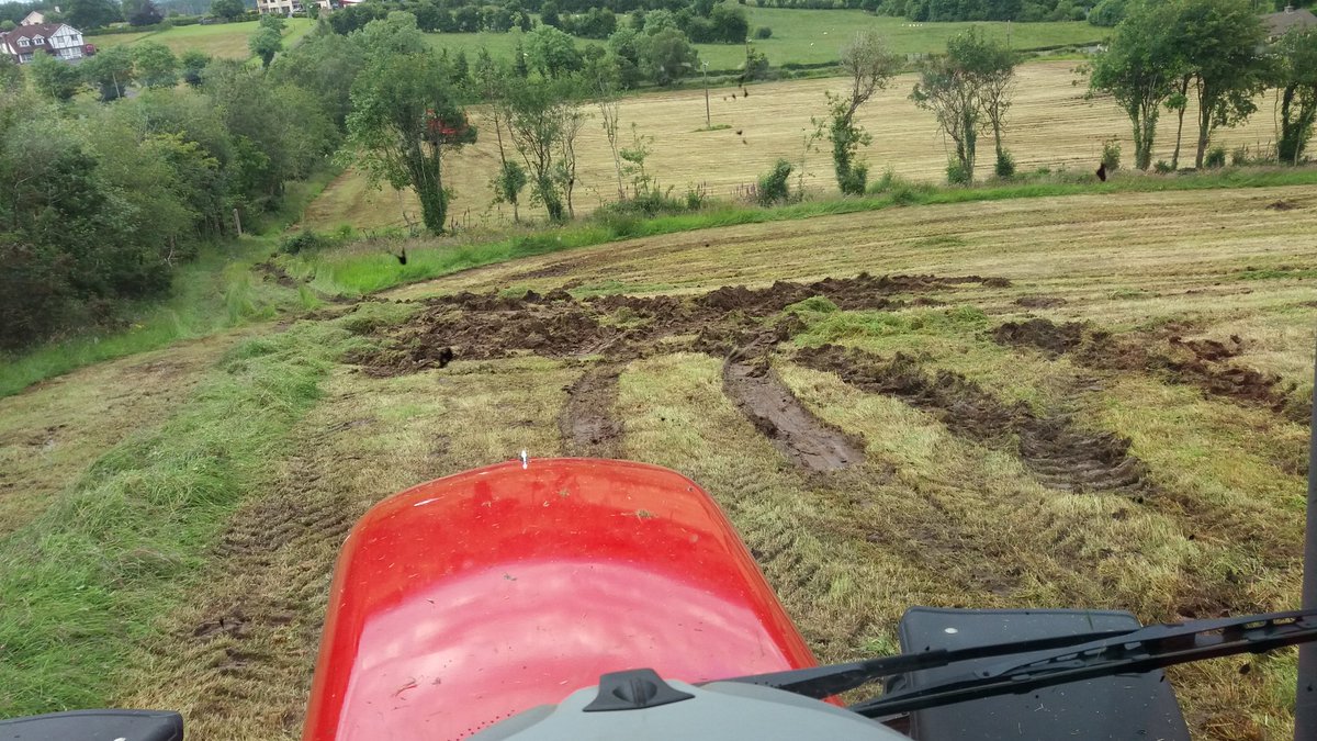 simonprescott3's tweet photo. Bit more grass this evening wet heavy grass and slippy hills made for a fun evning! π #grass2016 https://t.co/So1oKrED1f