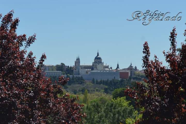 SilviaRDigital's tweet photo. Vista del palacio real de Madrid,desde el lago de la casa de campo.solo hay que buscar #ellago #casadecampo #madrid https://t.co/FkE5JEmYt8