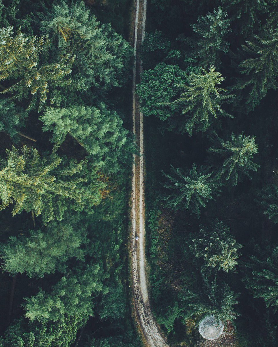 DanielCasson1's tweet photo. Above the forest https://t.co/IOtMOiBKMV