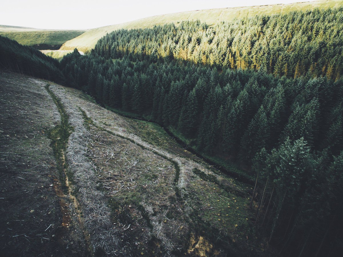 DanielCasson1's tweet photo. Above the forest https://t.co/IOtMOiBKMV