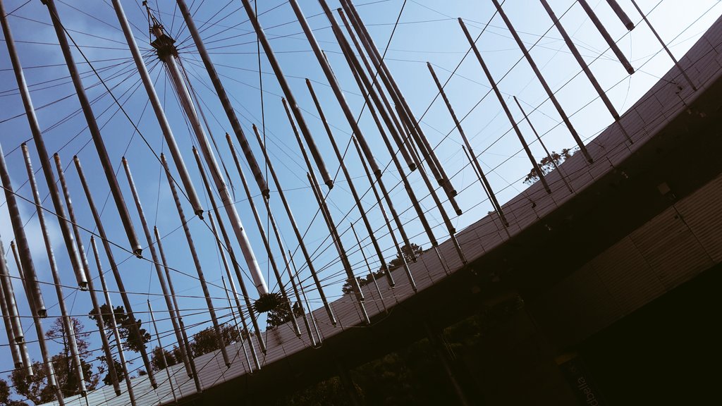 AmasViajar's tweet photo. @AmasViajar por @vinadelmar conociendo la @QuintaVergara, una gran experiencia que debes vivir. https://t.co/1BQRr8CLoP
