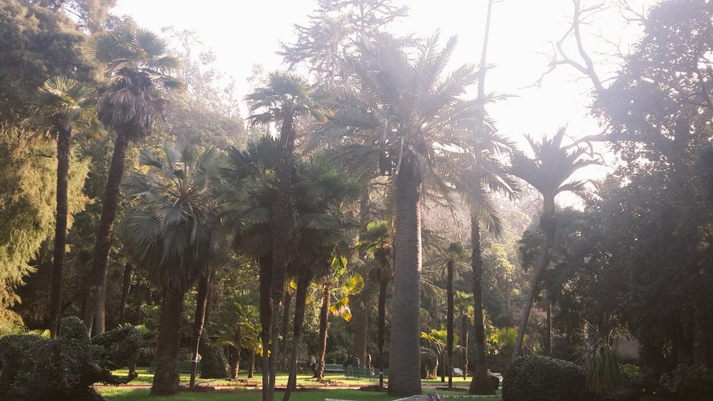 AmasViajar's tweet photo. @AmasViajar por @vinadelmar conociendo la @QuintaVergara, una gran experiencia que debes vivir. https://t.co/1BQRr8CLoP